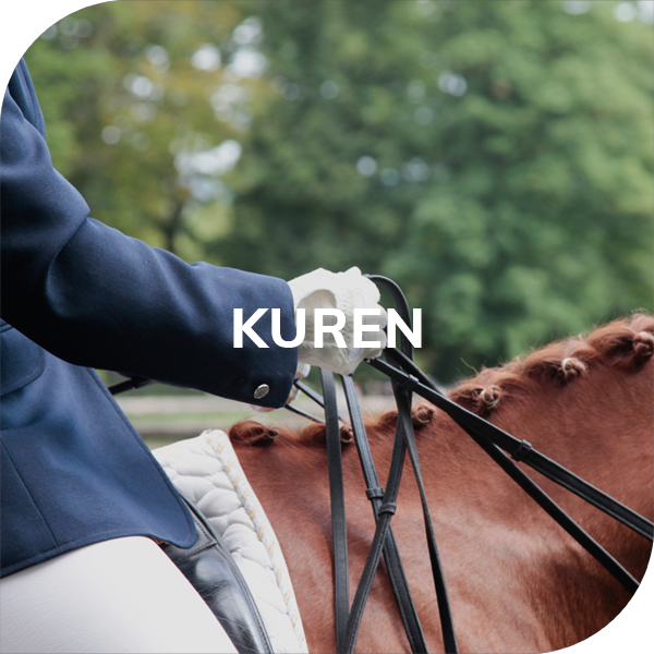 kuur ruiters kuur ruiters